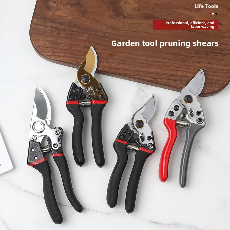 Strong Pruning Shea…