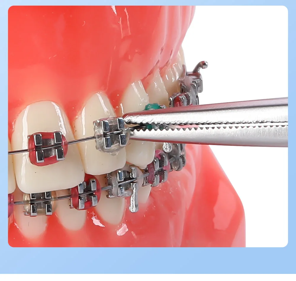 AZDENT Dental Kieferorthopädische Zange Ligatur Krawatte Halter 14 cm Halten Elastische Krawatten Platzieren Zahnmedizin Grundlegende Instrument Werkzeug Zahnärzte – Detail 7