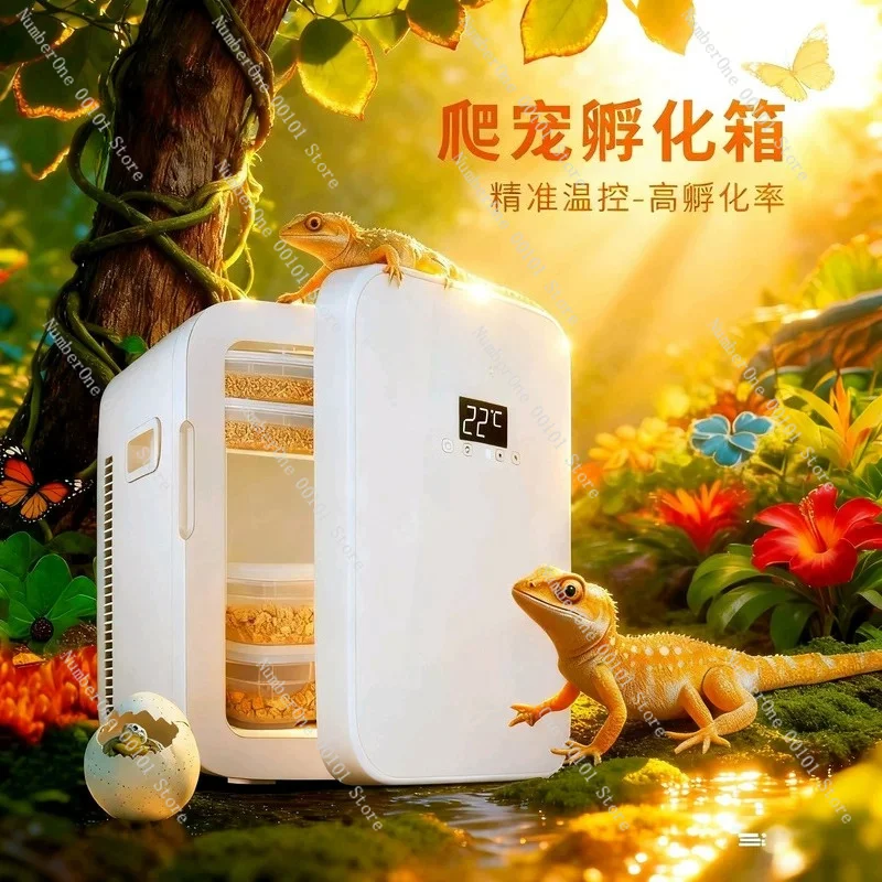 Reptile Breeding Incubator, Terrarium Habitat for Turtle, Snake, Ant, Beetle and Crested Gecko