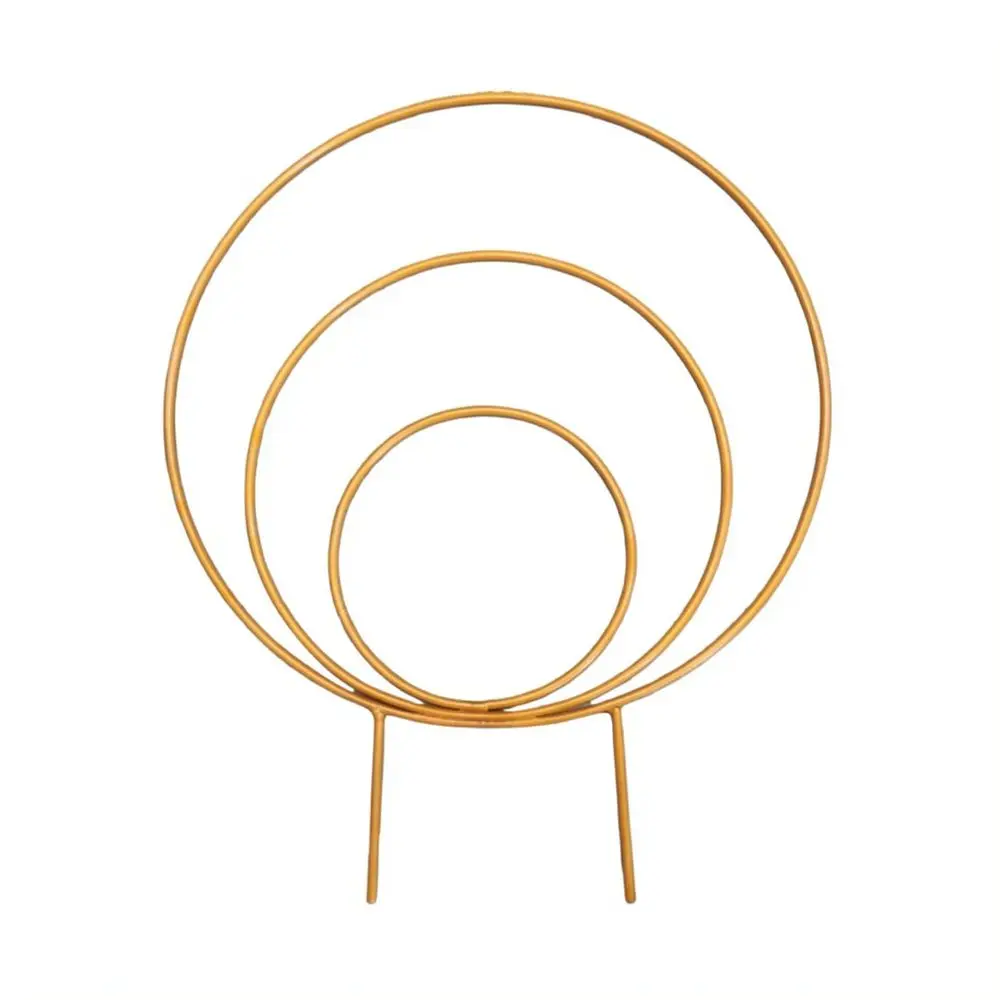 Metal Plant Climbing Trellis Support Ring For Potted Flowers Indoor Outdoor Garden Vine Rack Modern Decor Holder Stand