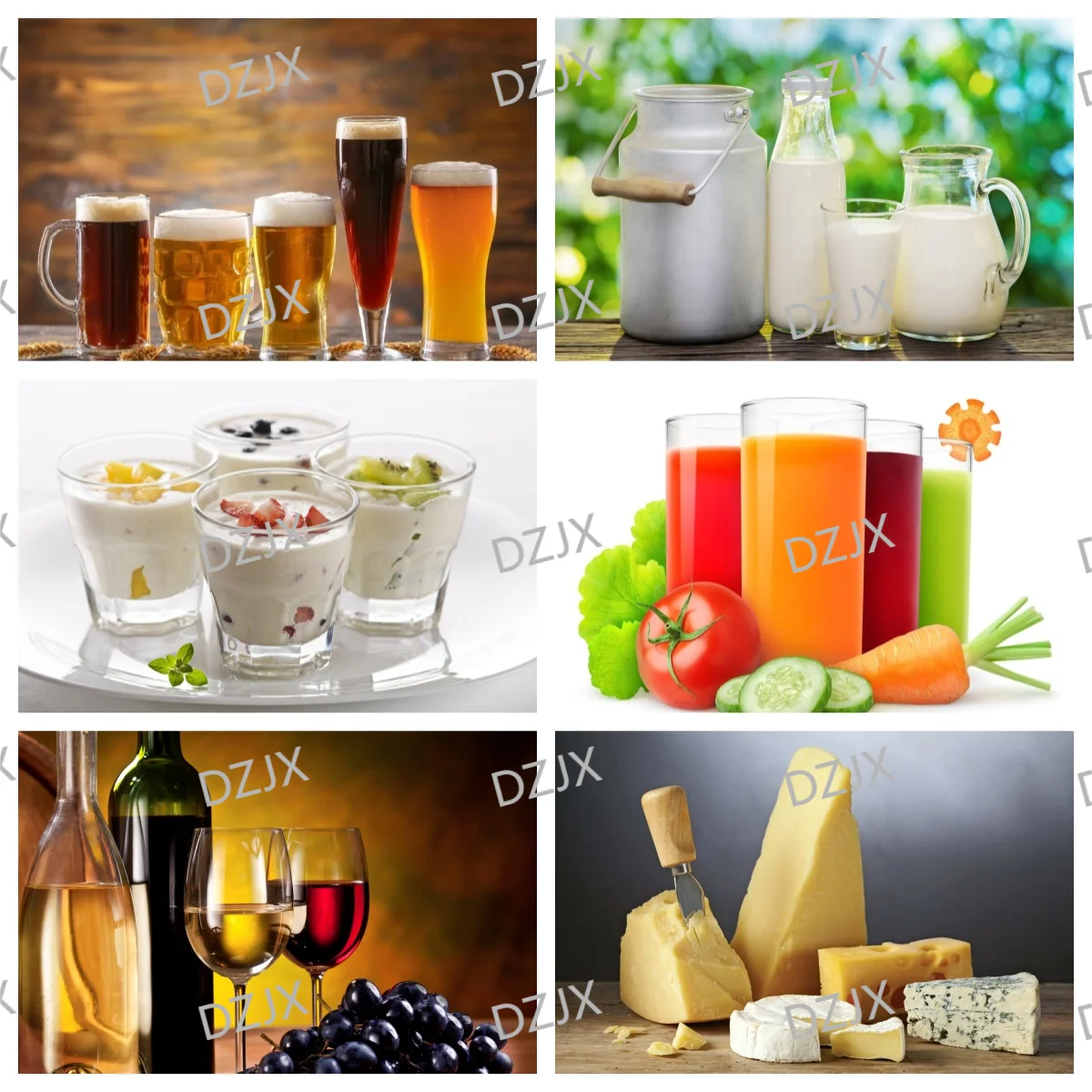 عصير فواكه الآيس كريم DZJX مبستر صغير لسعر آلة بسترة الحليب الصغيرة #5