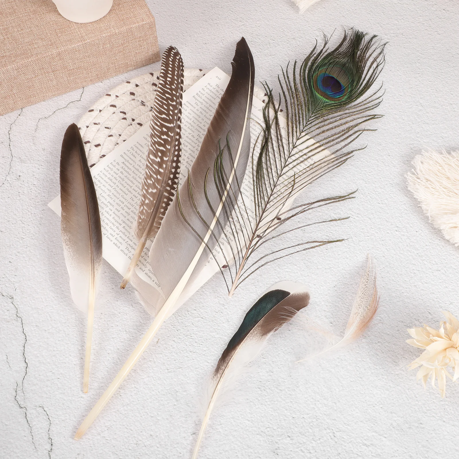 

30Pcs DIY Accessories Elegant Plumes for Wedding Party Centerpieces Home Decor Crafts Natural Plume Materials Handicraft
