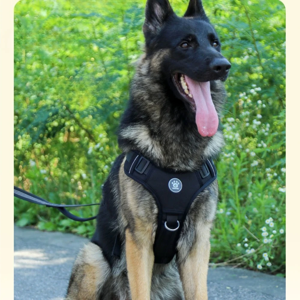 new-breathable-lightweight-dog-harness-leash-set-no-pull-pet-vest-anti-choke-walking-gear-for-dogs
