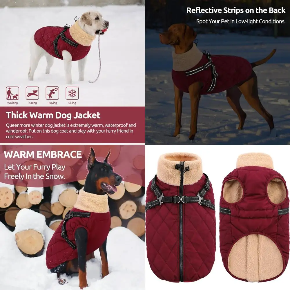 

Очень большие собачьи пальто с встроенной шлейкой, из плотного флиса, водонепроницаемые и ветрозащитные, для крупных пород в холодную погоду, размер 3XL