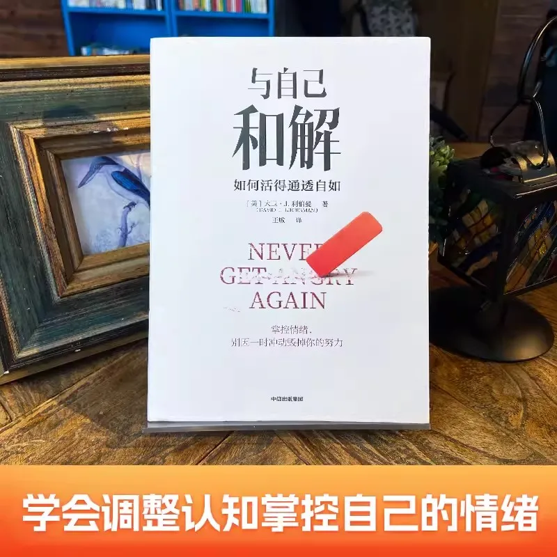 Never Get Angry Again How To Reconcile With Oneself and Live Freely and Transparently Improve Delay Satisfaction Capability