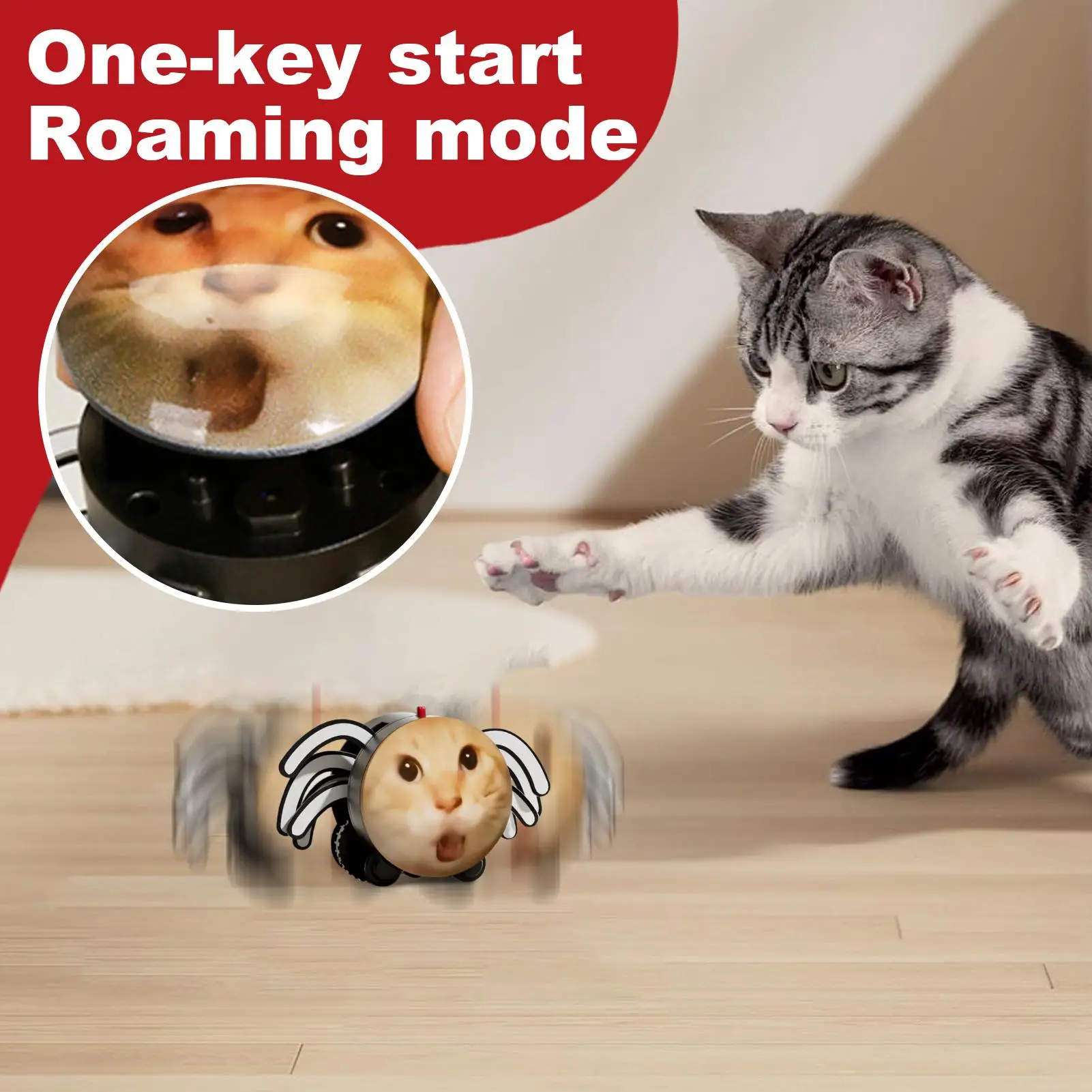 لعبة القط التفاعلية التلقائية الكهربائية العنكبوت هريرة اللعب تتحرك التفاعلية التلقائي لعبة جهاز للحيوانات الأليفة داخلي في الهواء الطلق المنزل