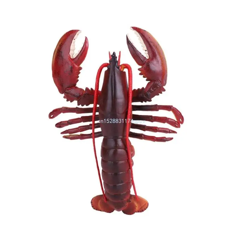 jouets figurines homard en PVC souple polyvalent, avec des designs réalistes, portables à des fins éducatives,