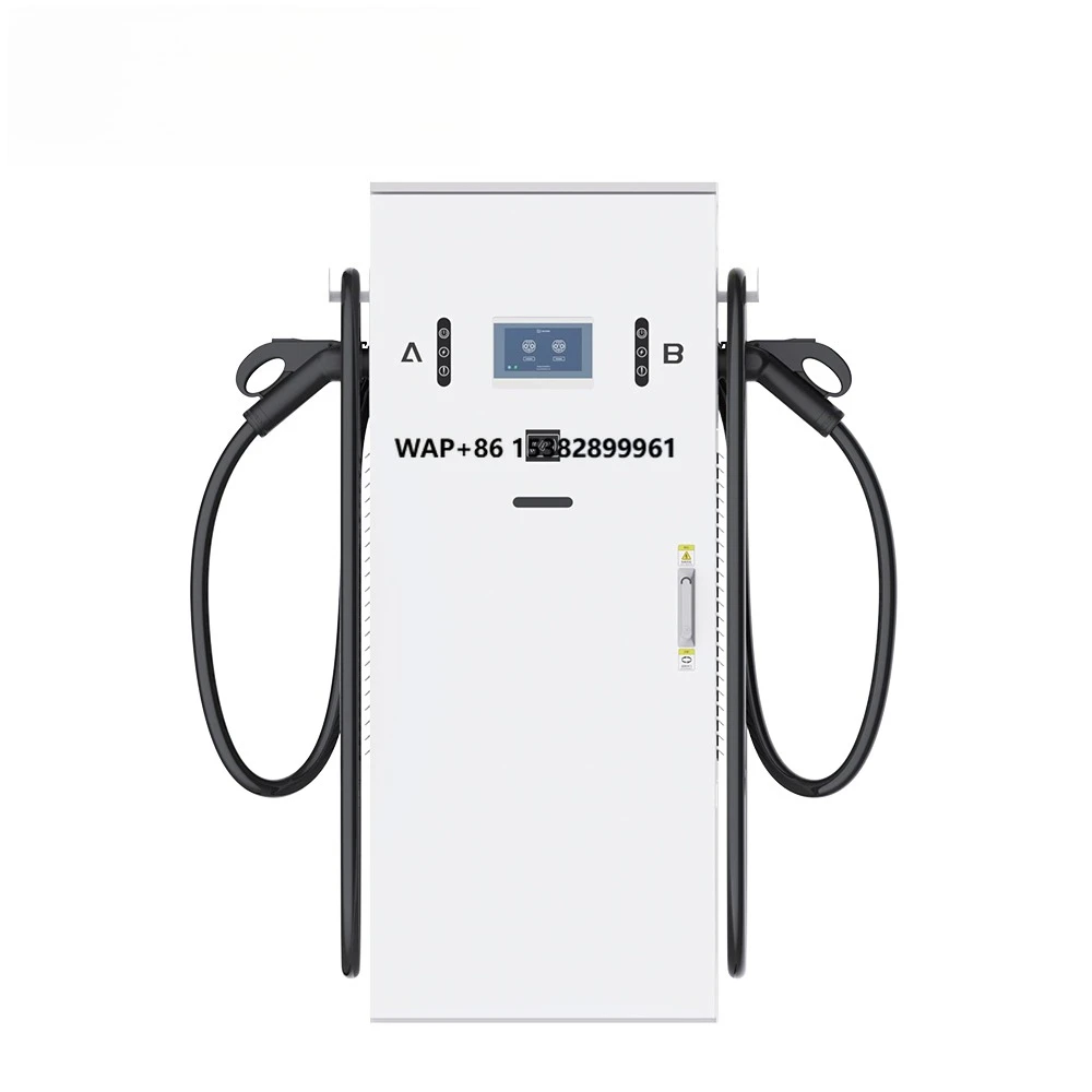 RUIVANDA New Fast DC Electric Vehicle Double Charging  40kw-240kw EV DC Fast Charging Pile Car Charging Station