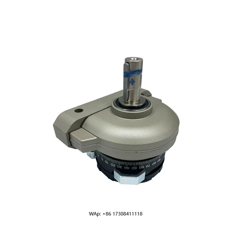DSR-32-180-P Semi Rotary Drive Cylinder Vane Type Swing Cylinder with Pneumatic Piston Structure
