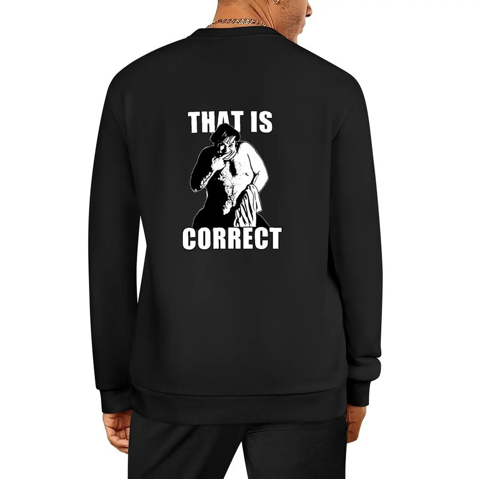 

that is Correct Pullover men wear korean autumn clothes men's clothes men's winter sweater pullover