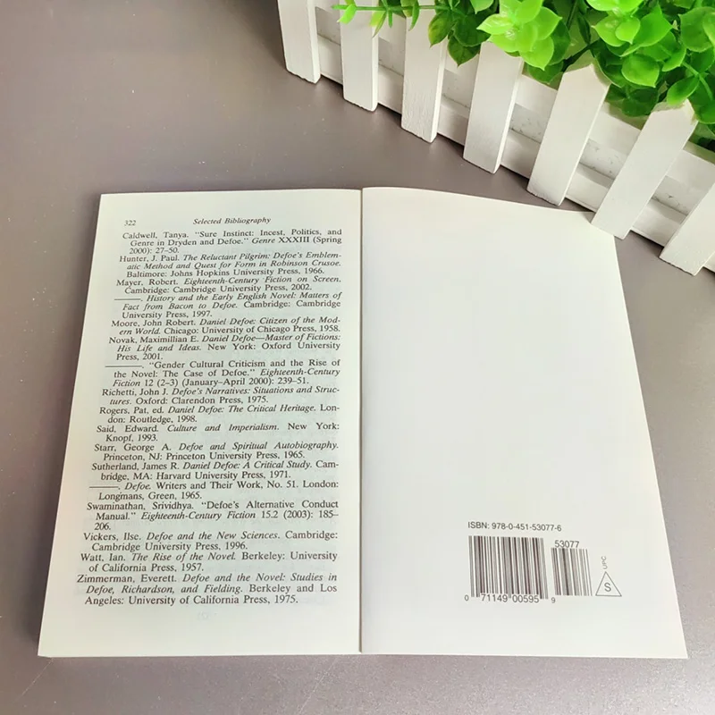 Wersja angielska powieści Robinson Crusoe Daniela Defoa, książki angielskie, klasyczna książka z bajką, libros, livros