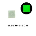 TH524-A06-3C-26