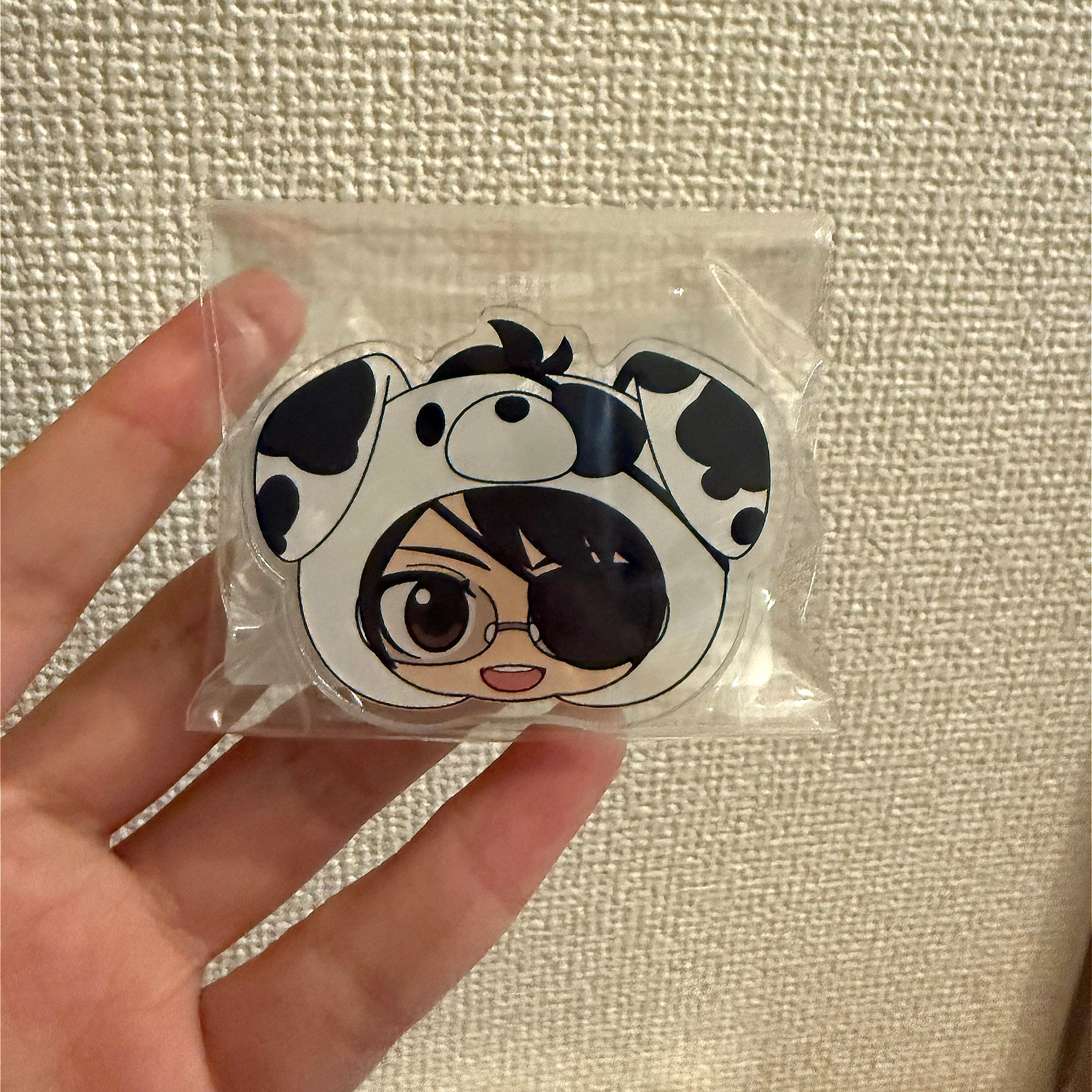 

Anime Eren Jaeger Attack on Titan Hange Zoe Levi Ackerman Shingeki No Kyojin Cosplay Cartoon Acrylic Badge Mascot Pendant Gift