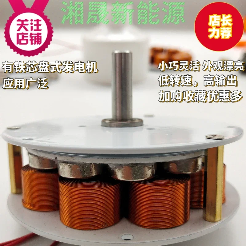 12 Miniature Disc Type Iron Core Generator and High Power Generation, Multi Pole Three-phase AC Generator