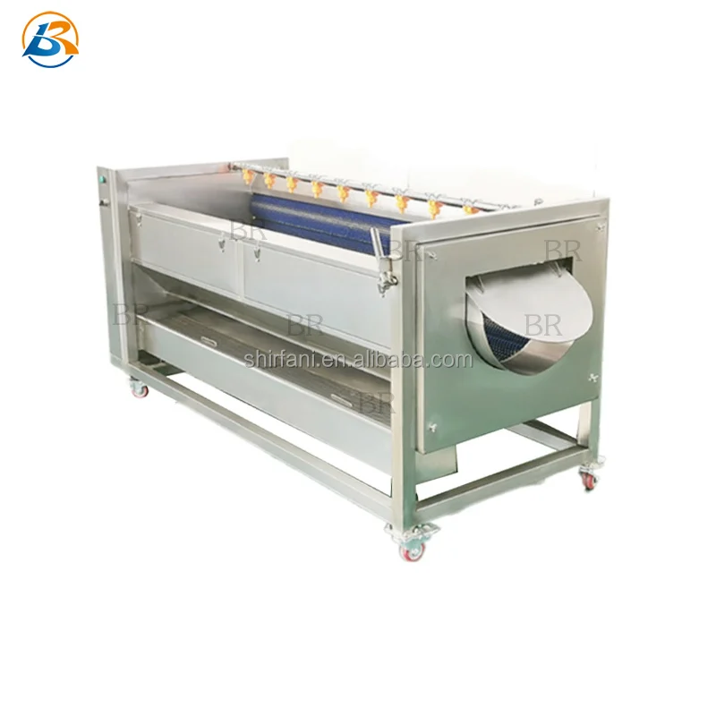 Hot Sell HL800 Fish / Shrimp Carrot Potato Washing Cleaning Machine Automatic Turmeric Washing Peeling Machine In India