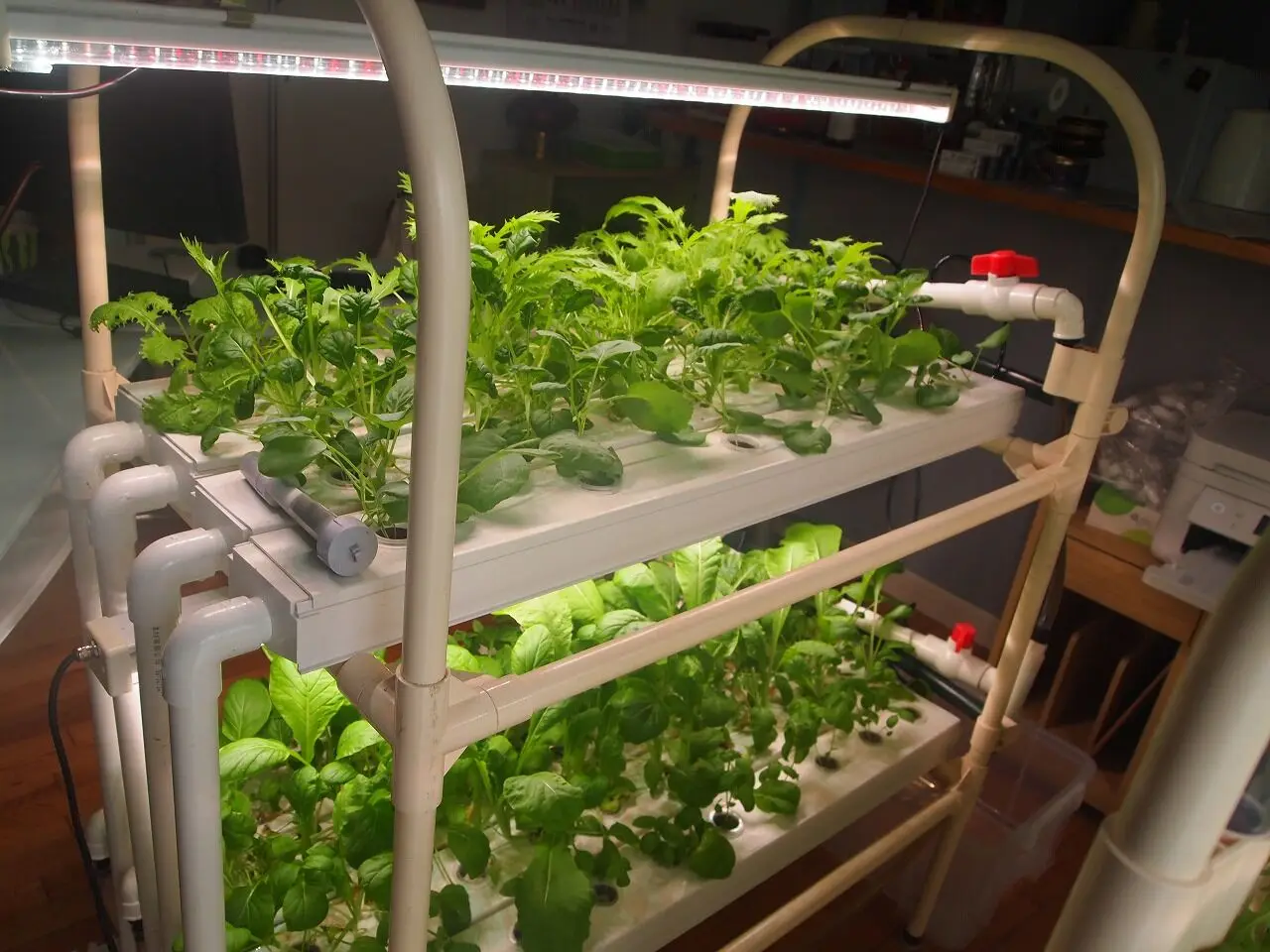 

Agricultural MINI NFT Hydroponics Growing Systems Channel Hydroponic Kit for Home Growing