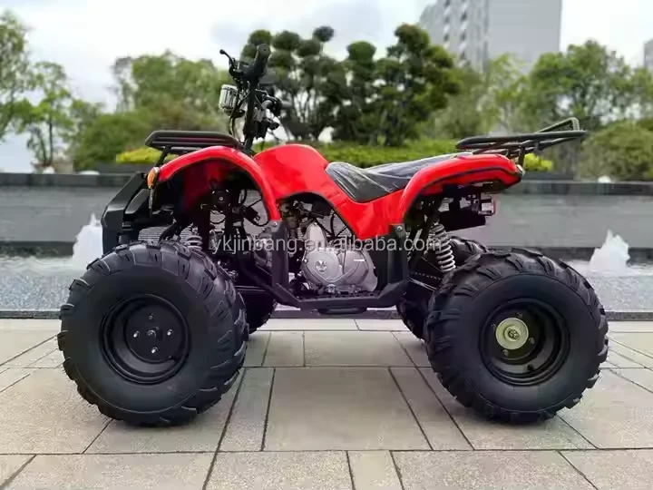 125cc 4-Stroke 1 Cylinder Air-Cooled Automatic ATV Chain Drive Transmission Gas Fuel