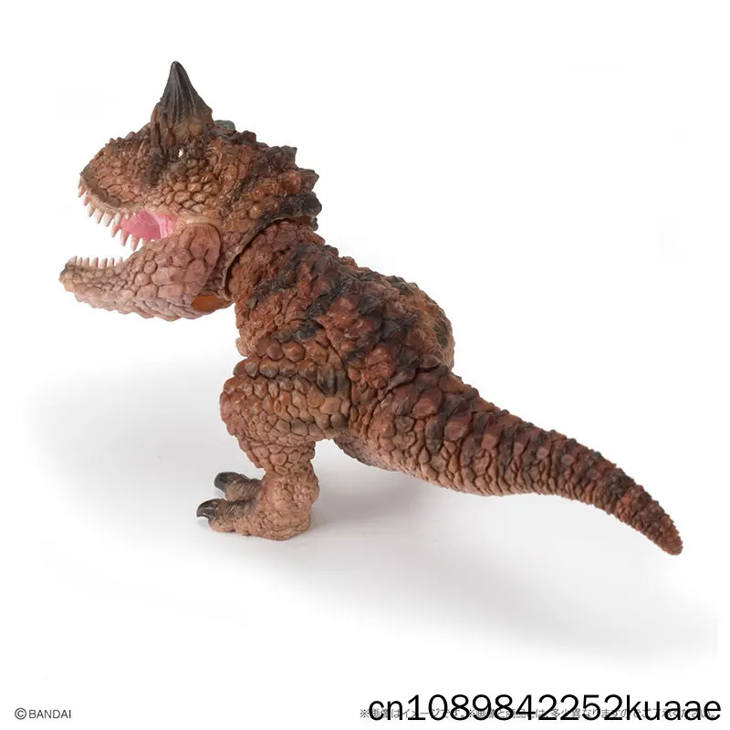Bandai Mini Carnotaurus Dinosaur Model Realistic Prehistoric Animal Figurine Gashapon Collectible Desktop Ornament For Adult Toy view 4