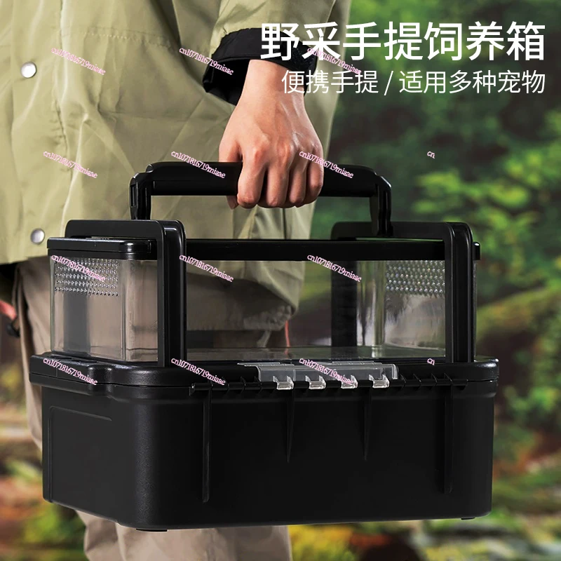 Outdoor wild mining reptile turtle feeding box transportation escape prevention portable observation box insect catching