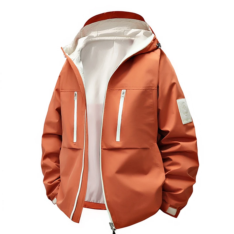 Spring And Autumn C… - image