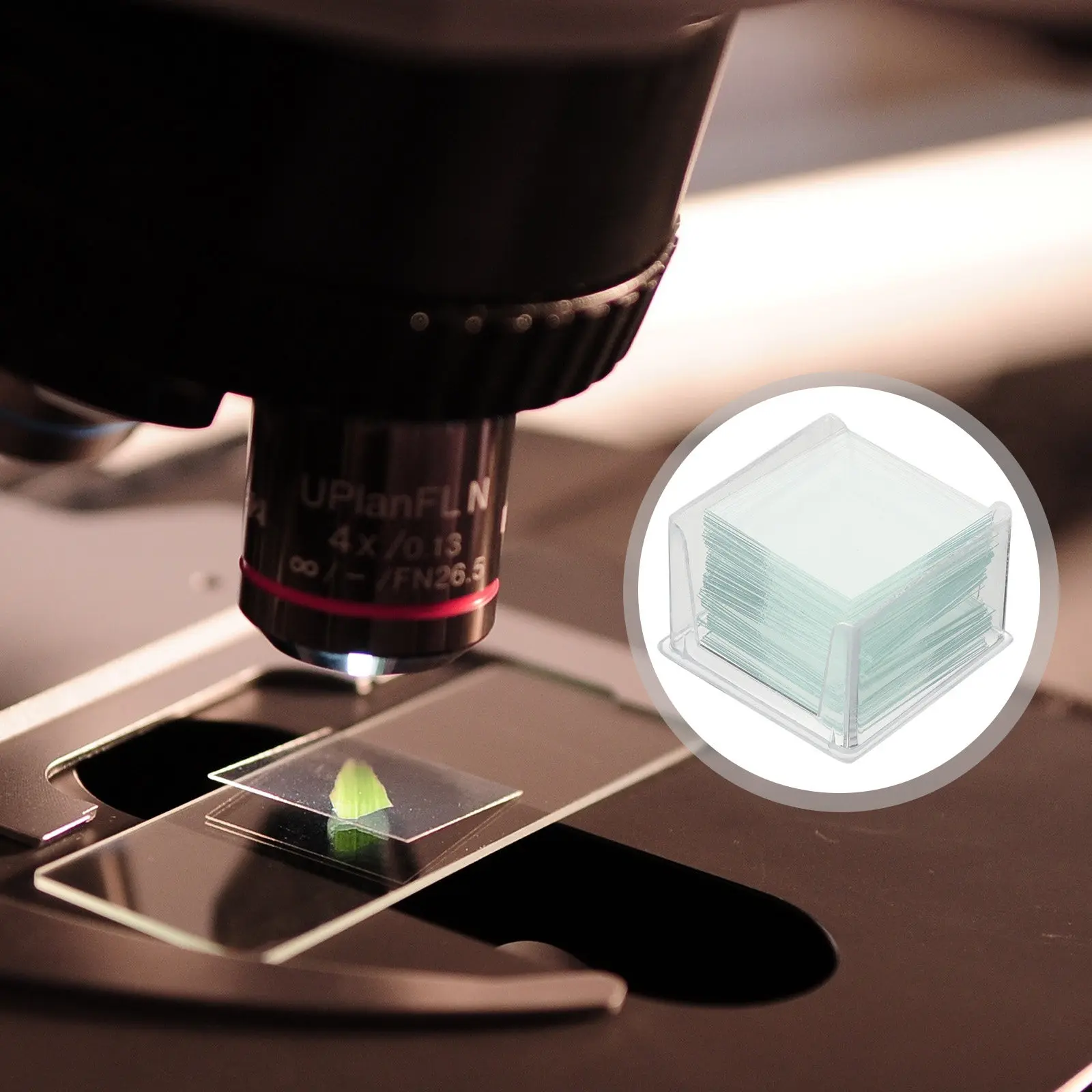 Microscope Cover Glass 1000 Pieces High Clarity Blank Cover Slips for Lab Research Student Education