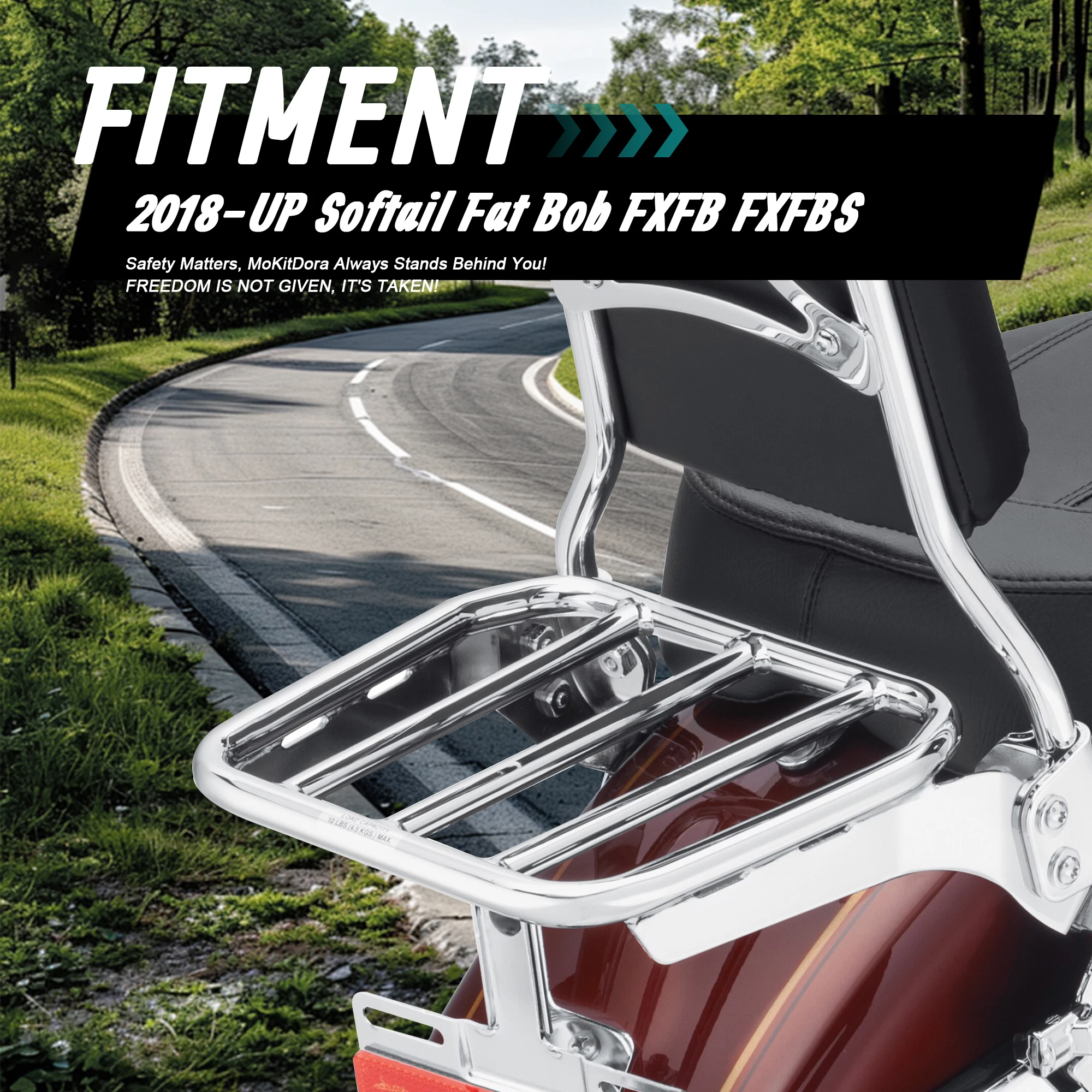 16 inch Sissy Bar rugleuning m - Leatherwork Hardware recensie en prijs