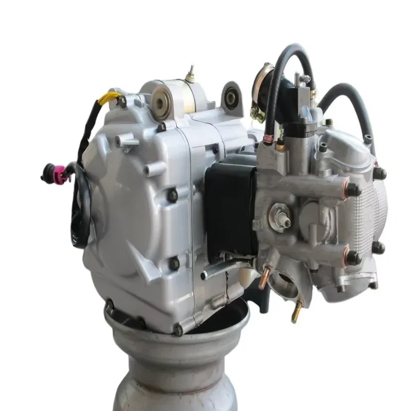 【Direct Fit Daria】 D300 Complete Engine Assy for Bu Yang Fei Shen 300cc 2.1.01.0003