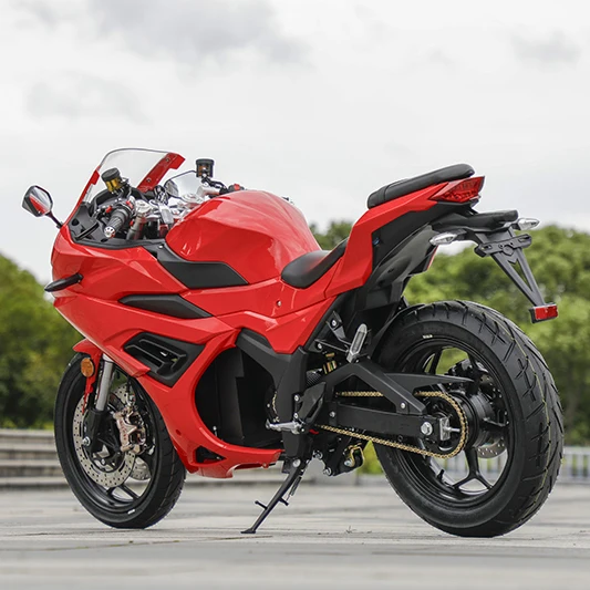 STLF Electric Motorbike Low Profit Electric Motorcycle Racing for Adults with Brushless Motor Moto Elctrica Para Adultos