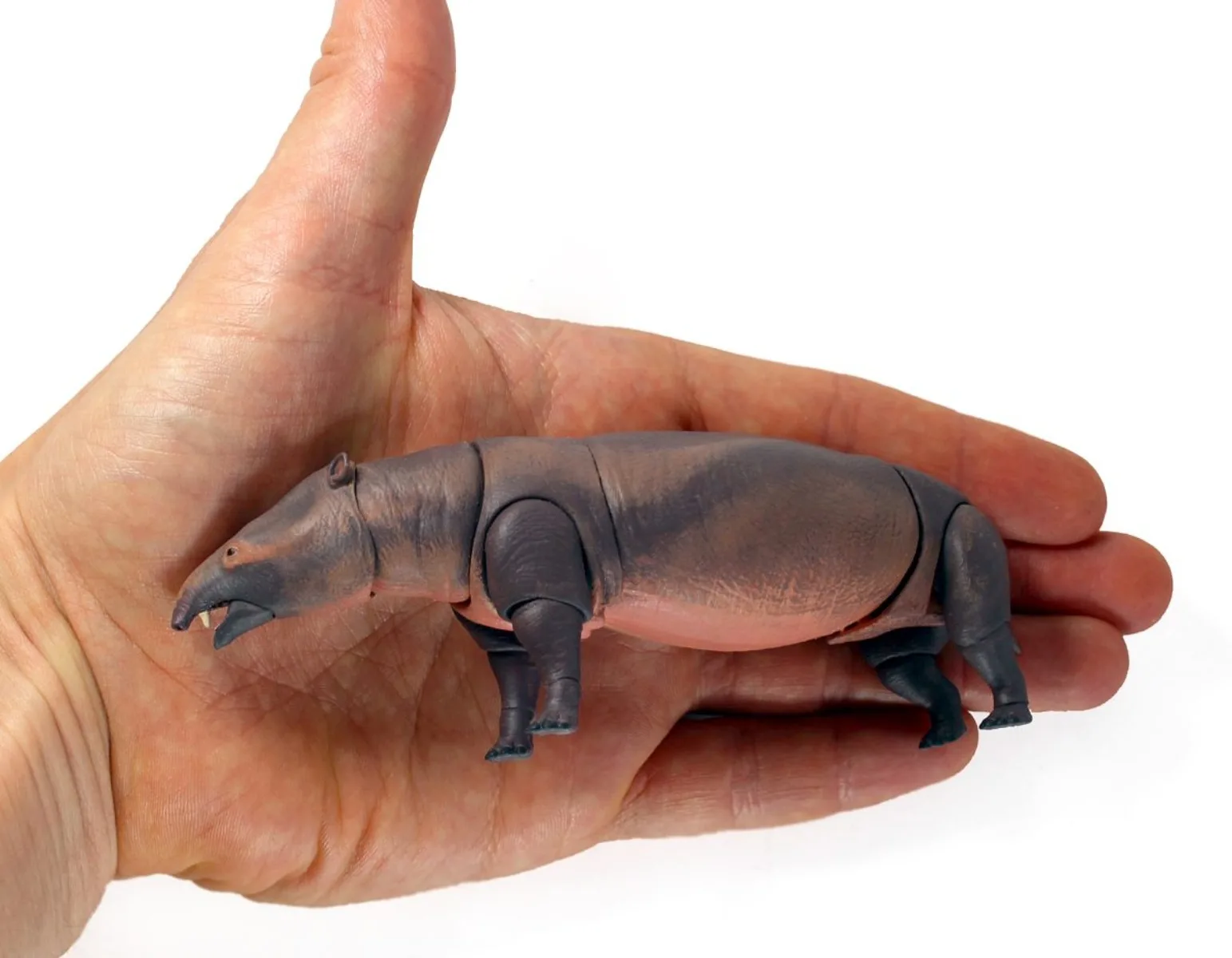 Beesten van het Mesozoïum Studio 1/18 Schaal Moeritherium lyonsi Model Dierenverzameling Action Figure Scène Decoratie Cadeau