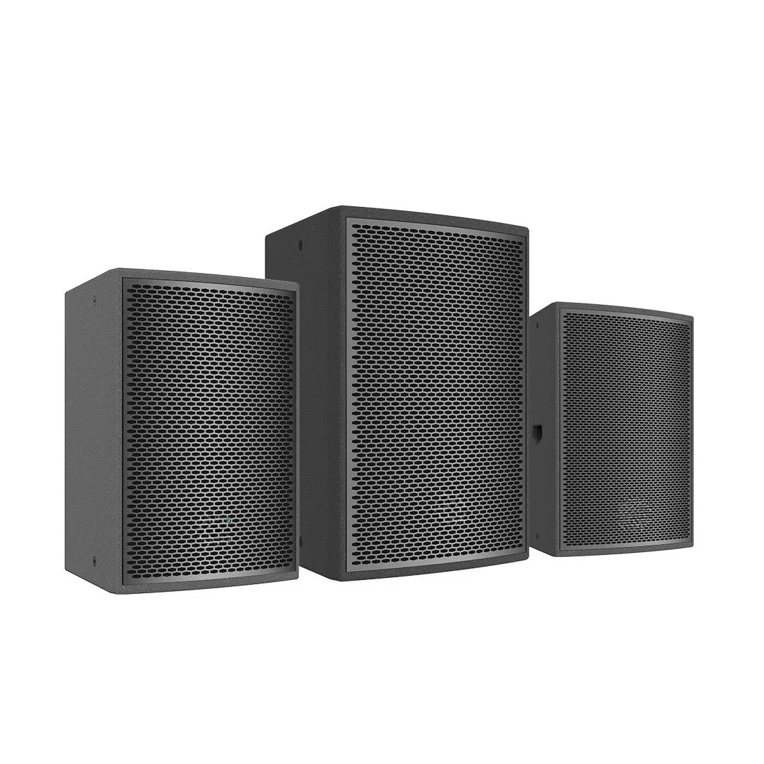 Professional RMS 300W 10 Inch Portable pa Speaker System