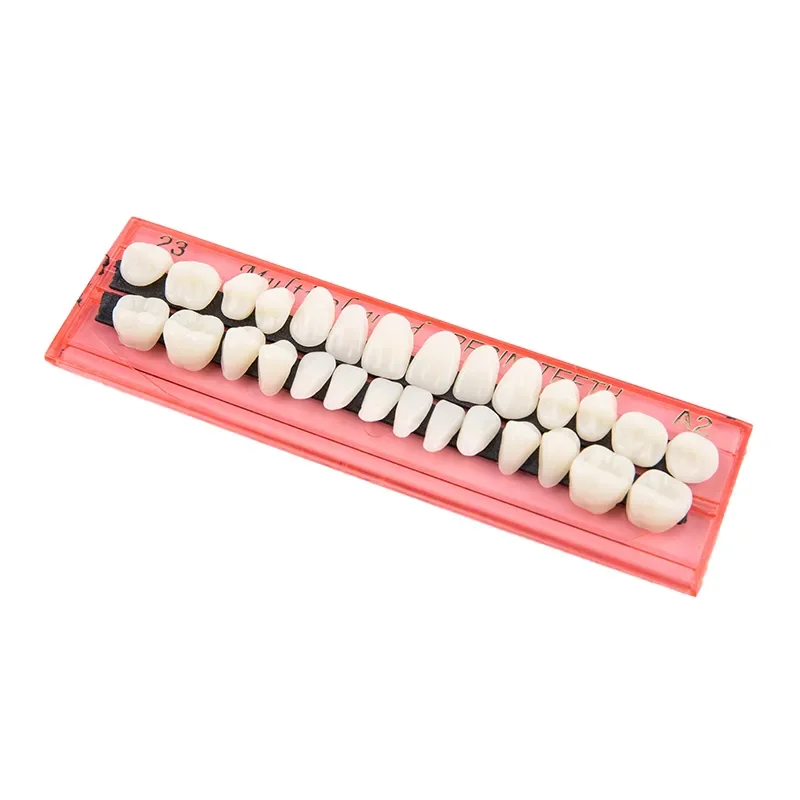 Dental Synthetic Resin Tooth Denture False Teeth For Halloween Horror Teeth