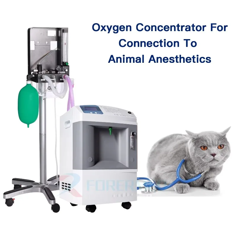 Double Flow Medical Oxygen Concentrator: 10L Pet Clinic O2 Generator for Veterinary Care for Pet Care and Commercial Equipment