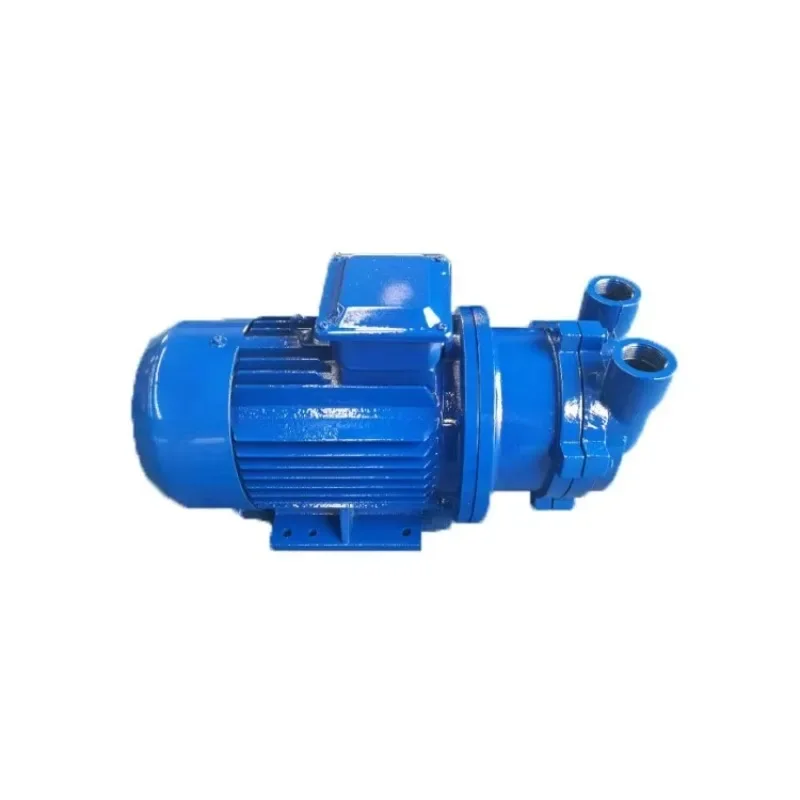 

2BV2061 Water-ring Vacuum Pump