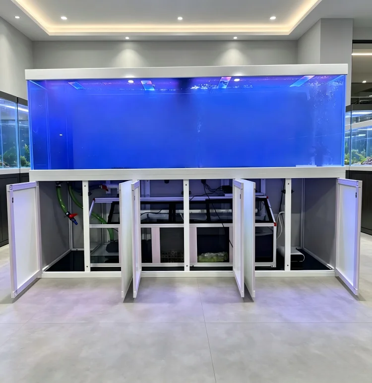 Big Size Aquarium Fish Tank La - Aquarium Fish Big Size review and price