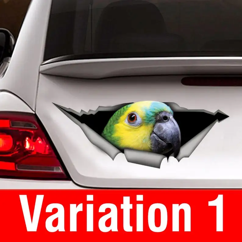 DECAL | Blue Fronted Amazon parrot decal, parrot sticker, birds car decal, amazon car decal