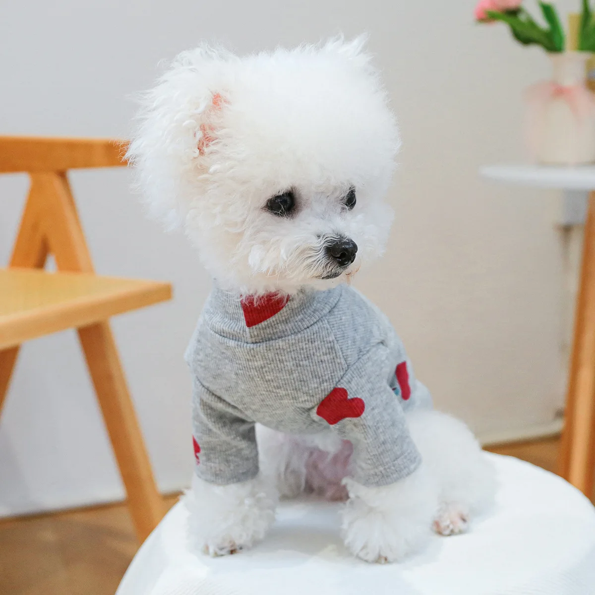 Pet Autumn and Winter Base Coat Cat Autumn and Winter Comfortable Home Sleepwear Dog Love Base Coat Two Foot Coat Puppy Clothes