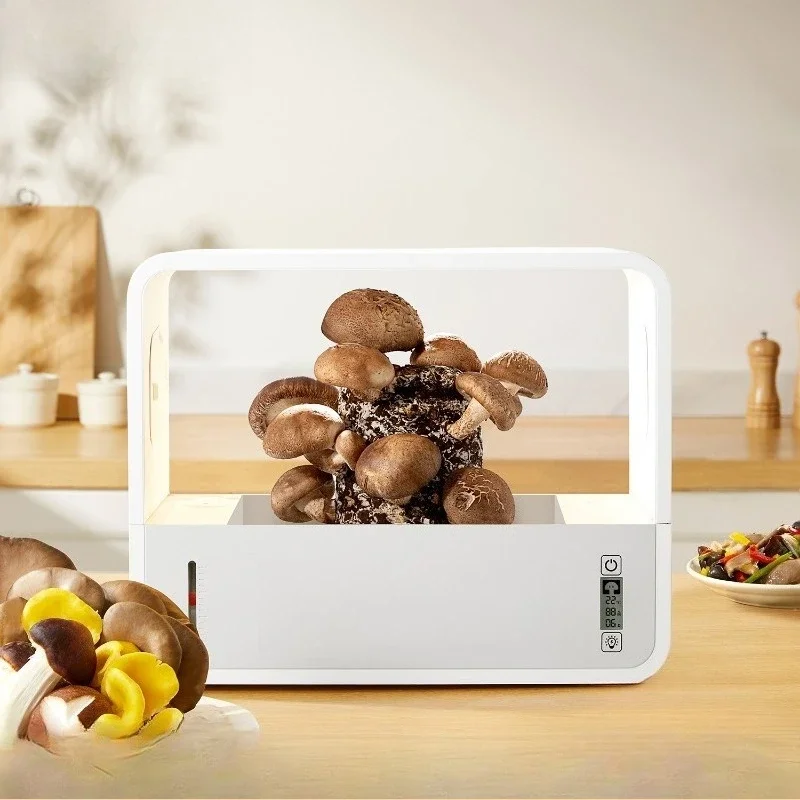 Mushroom ecological box, desktop smart mushroom planting machine, soilless cultivation planting box