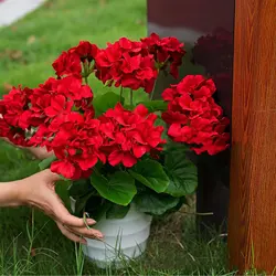 2 pezzi simulazione Begonia fiore geranio fiore di seta fiore finto matrimonio casa soggiorno decorazione