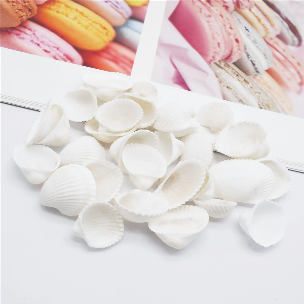 20PCS White Natural Seashell Conch Shells for DIY Crafts Cockle Shells Beach Collection Craft Supplies For Home Decor 1-3cm Size