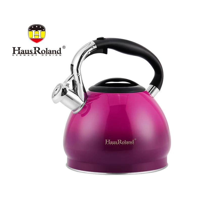 

HausRoland Stainless Steel Whistling Tea Kettle Teapot Anti-Scalding for Stovetop 3L