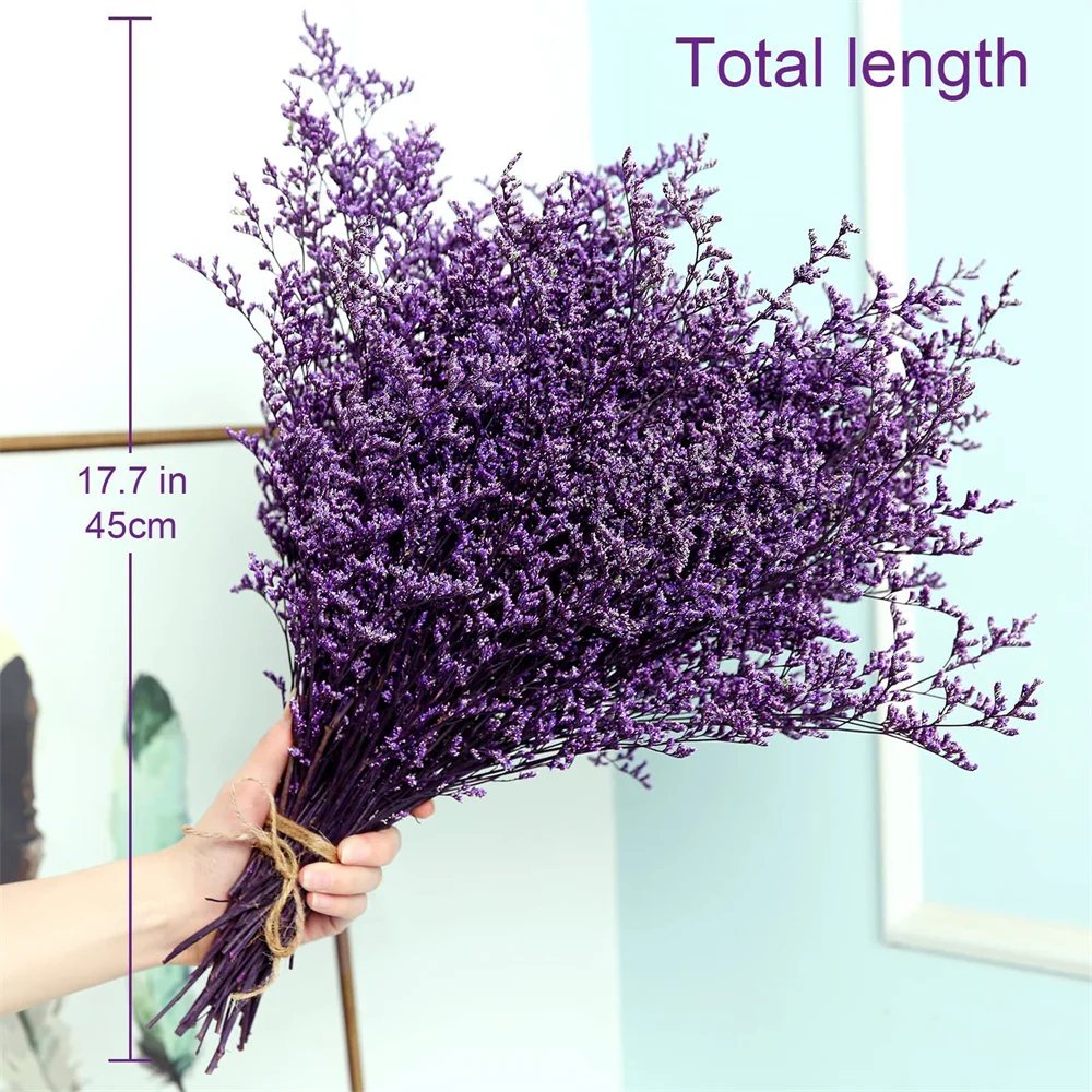 100g konservierter natürlicher Limonium strauß, frischer See lavendel, Baby-Atem blumen für Hochzeits geburtstag, Wohnkultur, Geschenk für Mutter