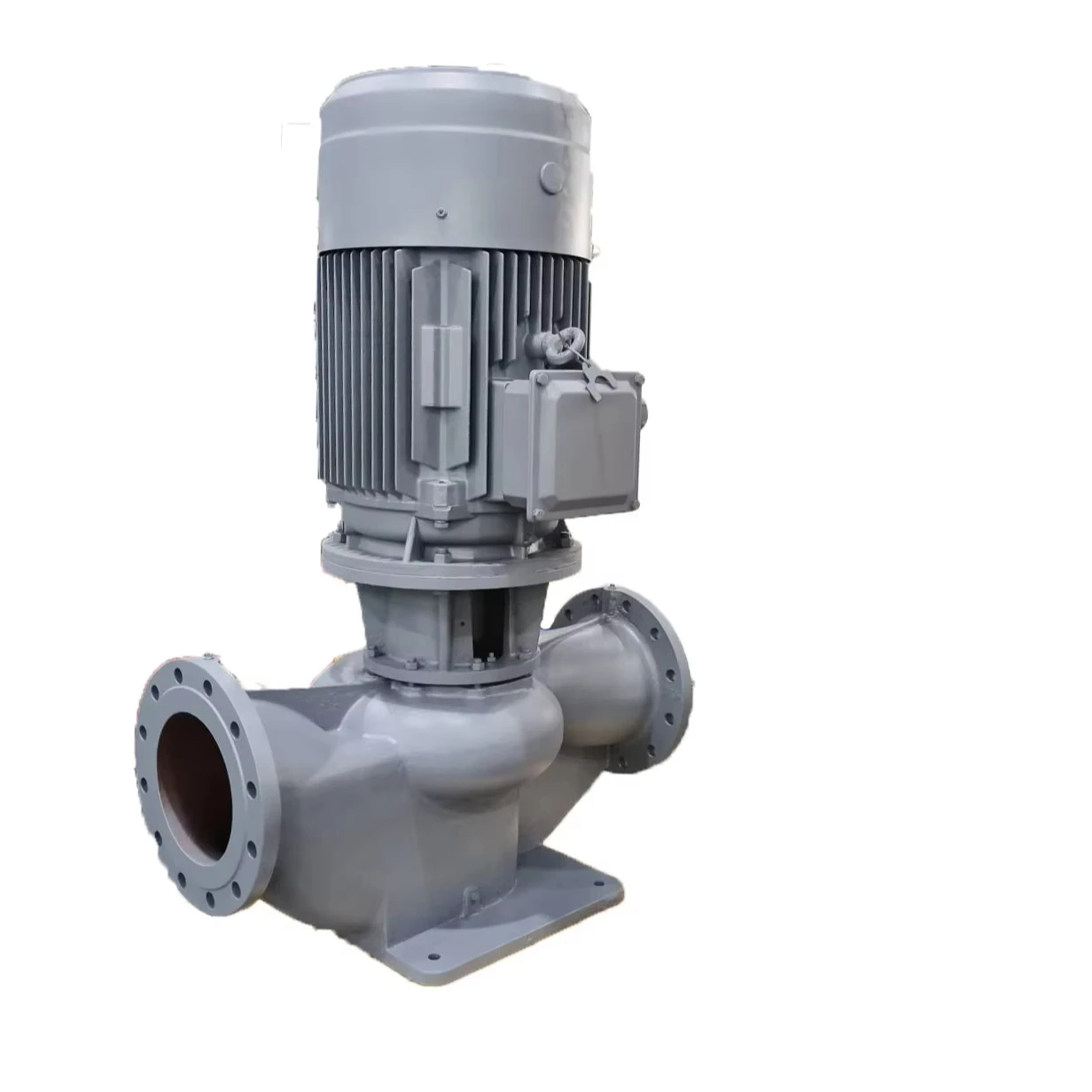 Pompa dell'acqua fredda a circolazione verticale con booster monostadio Eifel