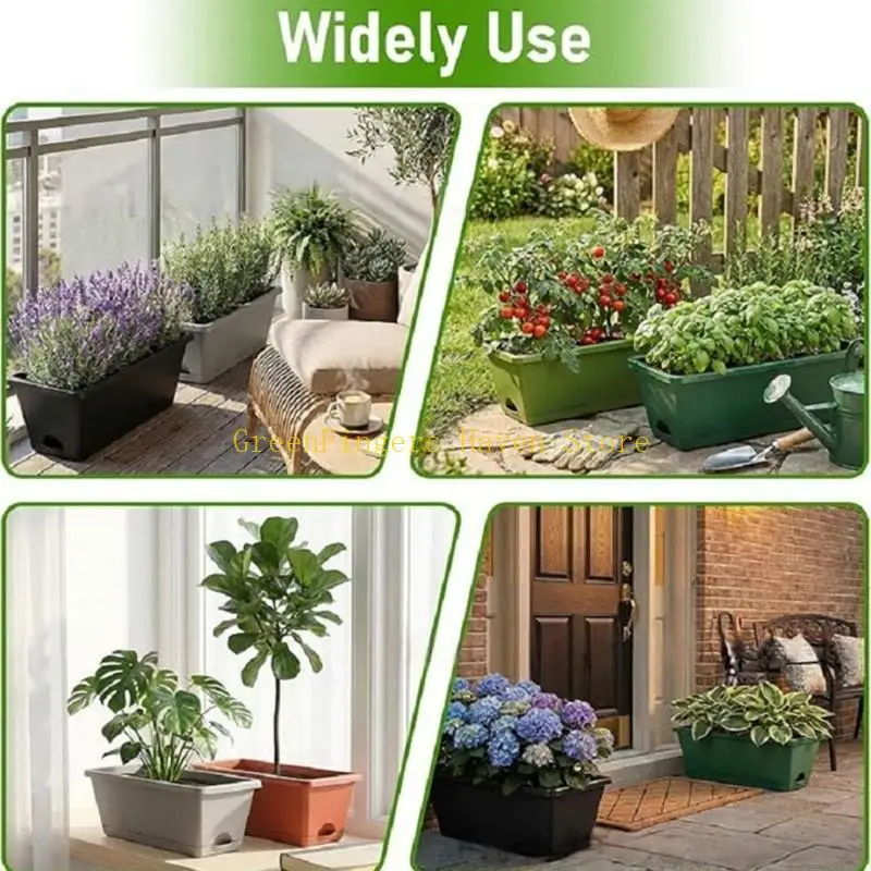 F68D Permanent Look Growth Containers For Culinary Greens Succulents inflorescences