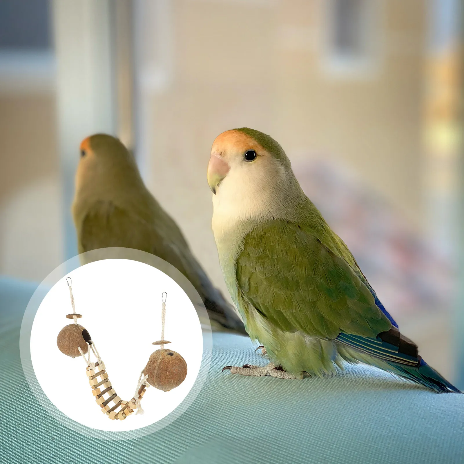 

1Set Bird Nest Hanging Coconut Shell Bird House Resting Bed Ladder Breeding Nest Decorative Parrot Birdcage Resting Birdcage