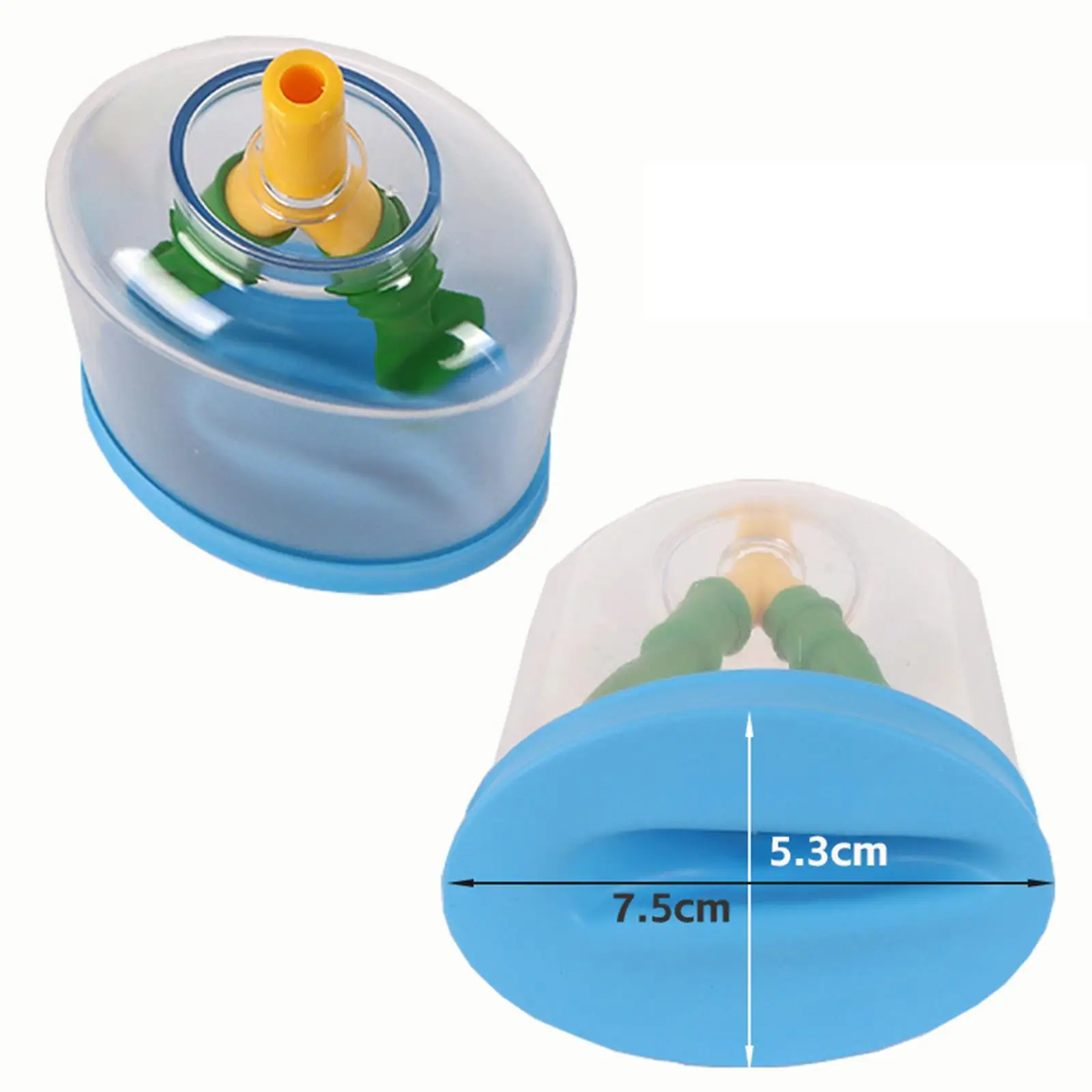 Lung Structure Model for Kids Science Learning Lung Function Teaching Tool Student Respiratory Education Toy Classroom Props DIY