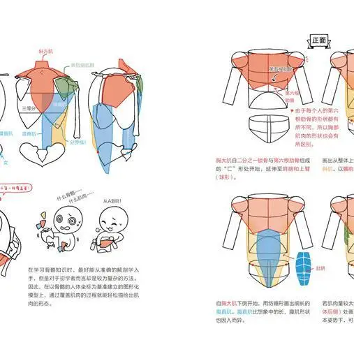 Auxiliary Line An effective way to learn manga Copy Introduction Self-study Basic Art Art painting textbook