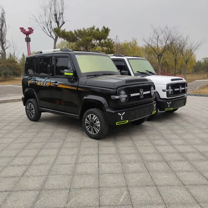 Electric four-wheeler new energy home adult car men's new transportation car