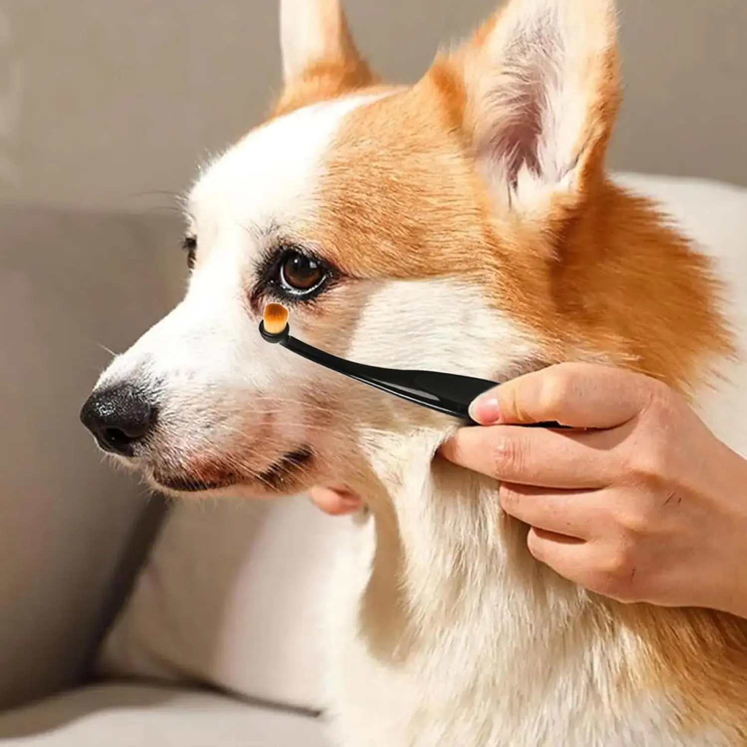 Weiche Bürste für Tränenflecken und Augenreinigung, Haustierpflege-Werkzeug, sanft, um Hautreizungen zu vermeiden, sicher für Hunde und Katzen, Gesichtspflege