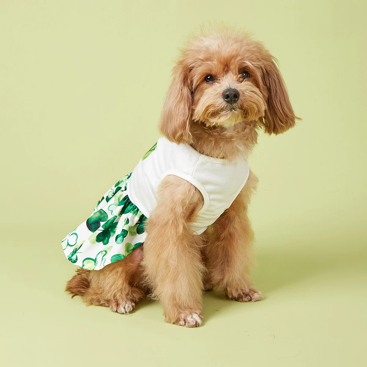 Cutest Clover in The Dog Dress, St Patricks Day Dog Clothes for Small Dogs Girl, Funny Pet Apparel Cat Holiday Outfit