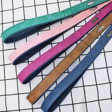 Dog Leash and Harness Set #3